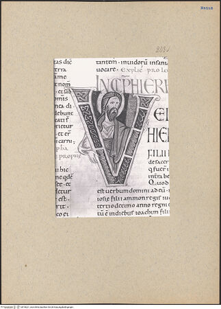 Vorderseite von bh196221_recto