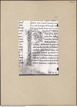 Vorderseite von bh196233_recto