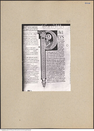 Vorderseite von bh196236_recto