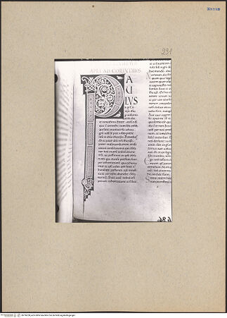 Vorderseite von bh196238_recto