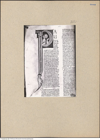 Vorderseite von bh196239_recto