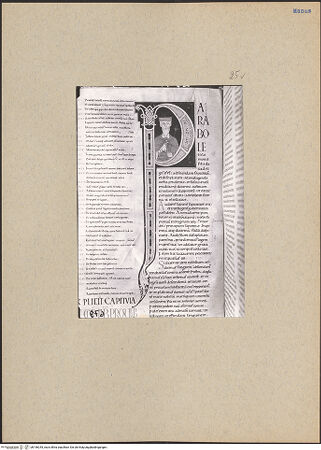 Vorderseite von bh196245_recto