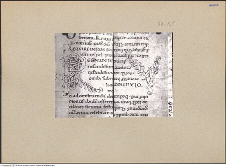 Vorderseite von bh196248_recto