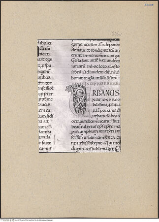 Vorderseite von bh196250_recto