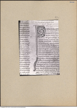 Vorderseite von bh196251_recto