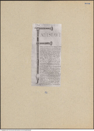 Vorderseite von bh196254_recto