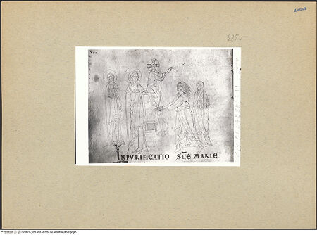 Vorderseite von bh196256_recto