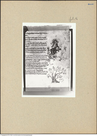 Vorderseite von bh196281_recto