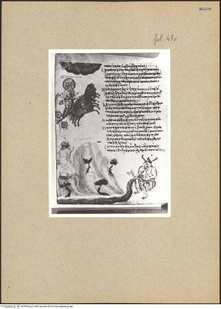 Vorderseite von bh196295_recto