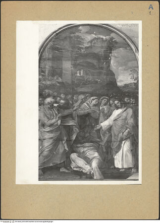 Vorderseite von bh196465_recto