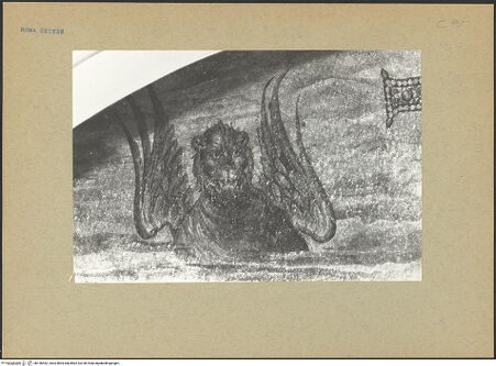 Vorderseite von bh196542_recto