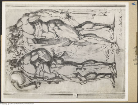 Vorderseite von bh196648_recto