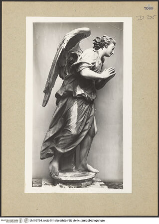 Vorderseite von bh196764_recto