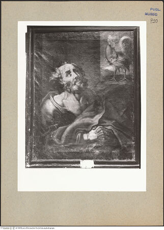 Vorderseite von bh196890_recto