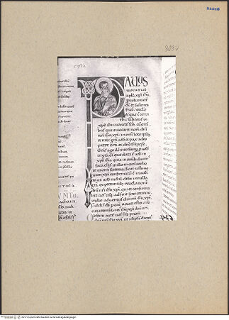 Vorderseite von bh197724_recto