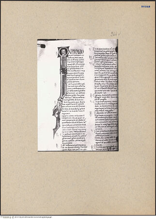 Vorderseite von bh197728_recto