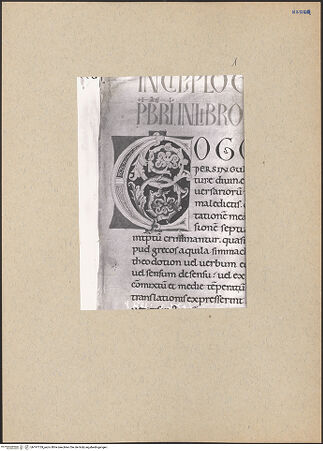 Vorderseite von bh197729_recto