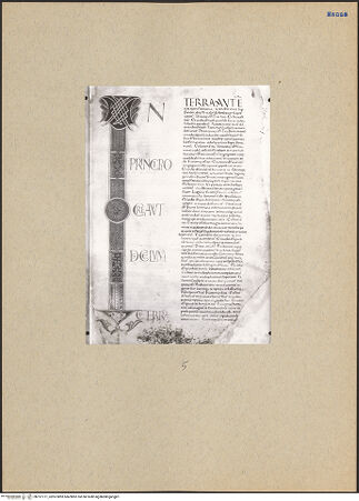 Vorderseite von bh197771_recto