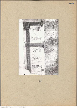 Vorderseite von bh197772_recto