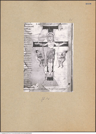 Vorderseite von bh197776_recto