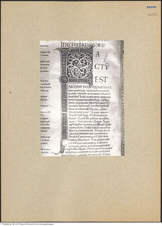 Vorderseite von bh197788_recto