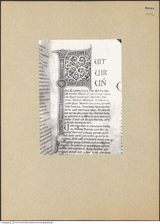 Vorderseite von bh197789_recto