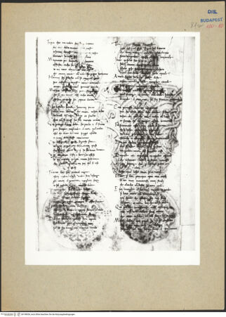 Vorderseite von bh198054_recto