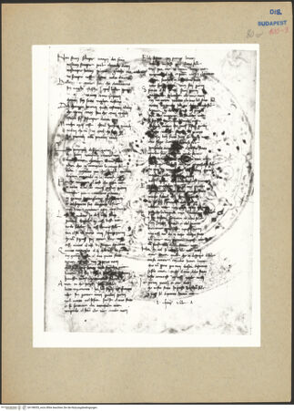 Vorderseite von bh198055_recto