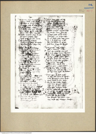 Vorderseite von bh198056_recto