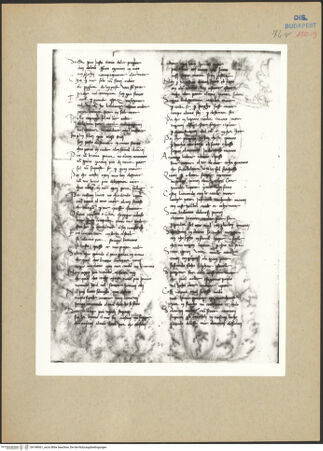 Vorderseite von bh198061_recto