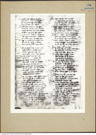 Vorderseite von bh198064_recto