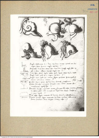 Vorderseite von bh198090_recto