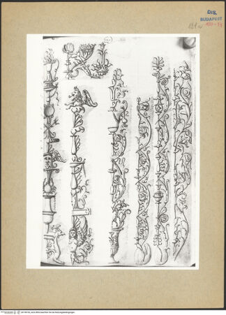 Vorderseite von Biblioteca Comunale [https://www.deutsche-digitale-bibliothek.de/content/lizenzen/rv-ez/] Codex ZichyOrnamente - , bh198106_recto. Foto.