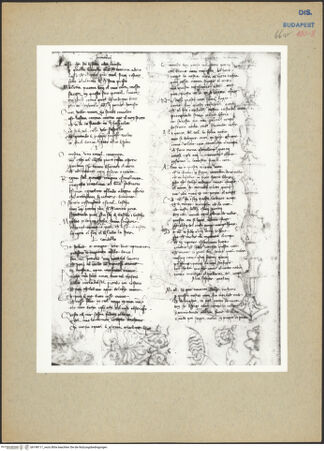 Vorderseite von bh198111_recto