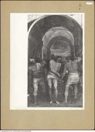 Vorderseite von bh198231_recto