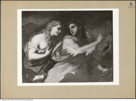 Vorderseite von bh198352_recto