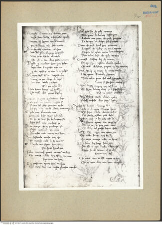 Vorderseite von bh198419_recto