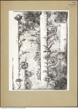 Vorderseite von bh198426_recto