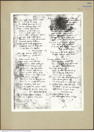 Vorderseite von bh198431_recto