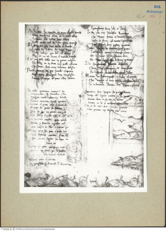 Vorderseite von bh198436_recto