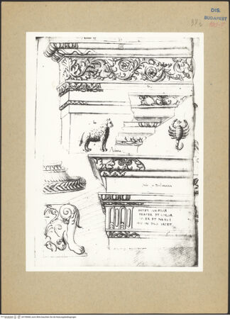 Vorderseite von Biblioteca Comunale [https://www.deutsche-digitale-bibliothek.de/content/lizenzen/rv-ez/] Codex ZichyOrnamente, Gebälke, Skorpion - , bh198468_recto. Foto.