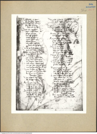 Vorderseite von bh198473_recto