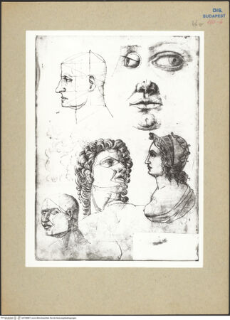 Vorderseite von bh198487_recto