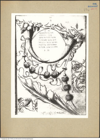 Vorderseite von bh198490_recto