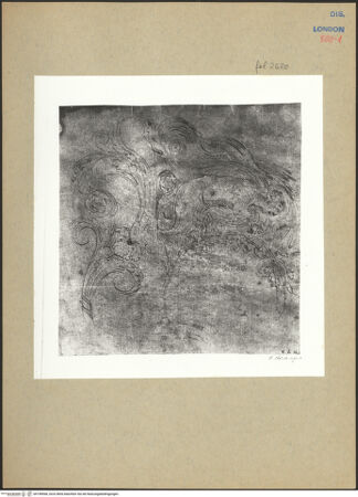 Vorderseite von bh198568_recto