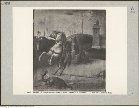 Vorderseite von bh198642_recto