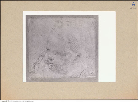 Vorderseite von bh198871_recto