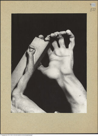 Vorderseite von bh199007_recto