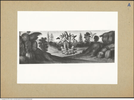 Vorderseite von bh199361_recto