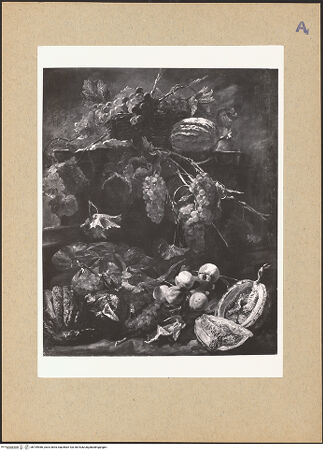 Vorderseite von bh199486_recto